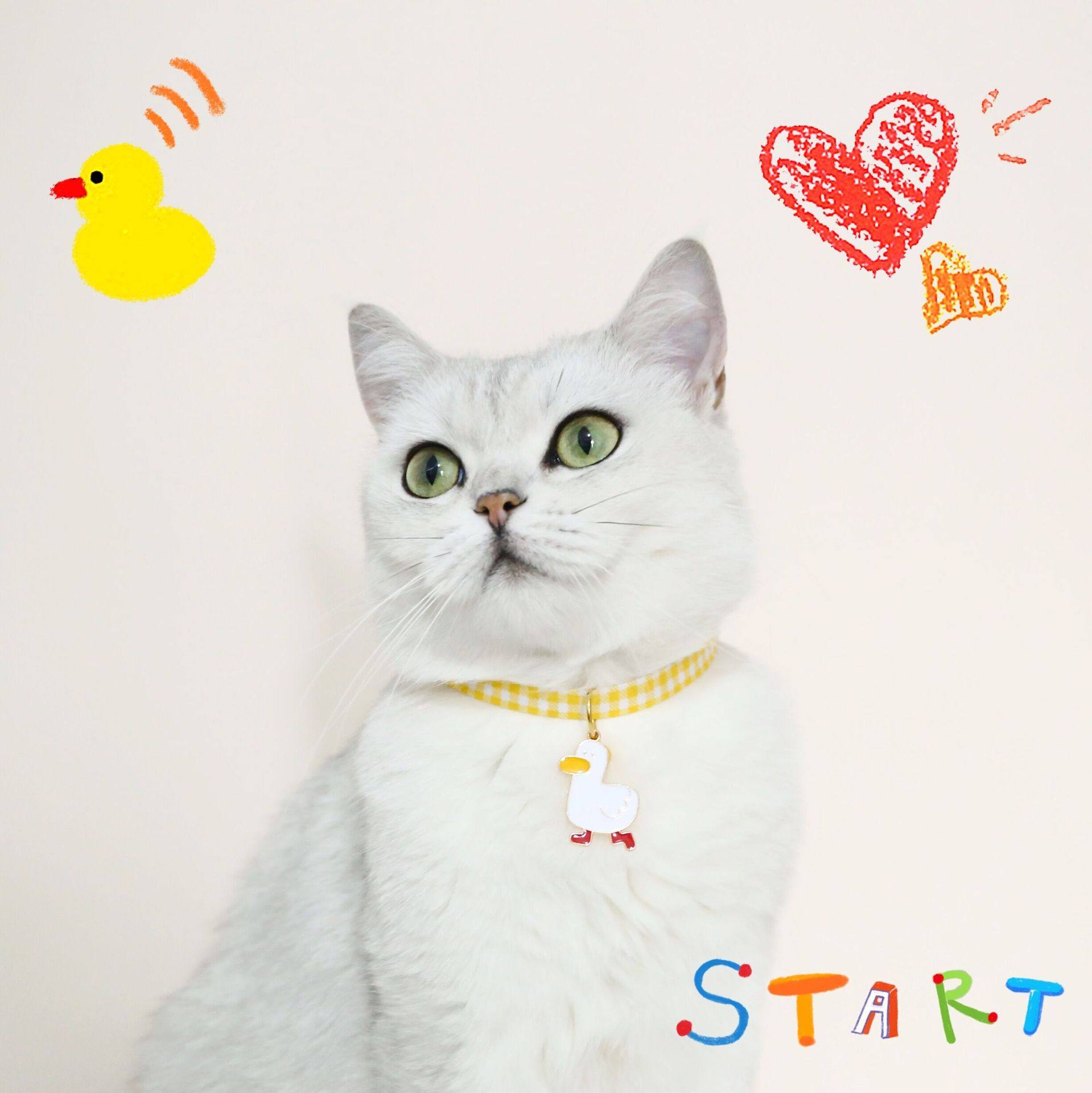 QQ图片20210709130157