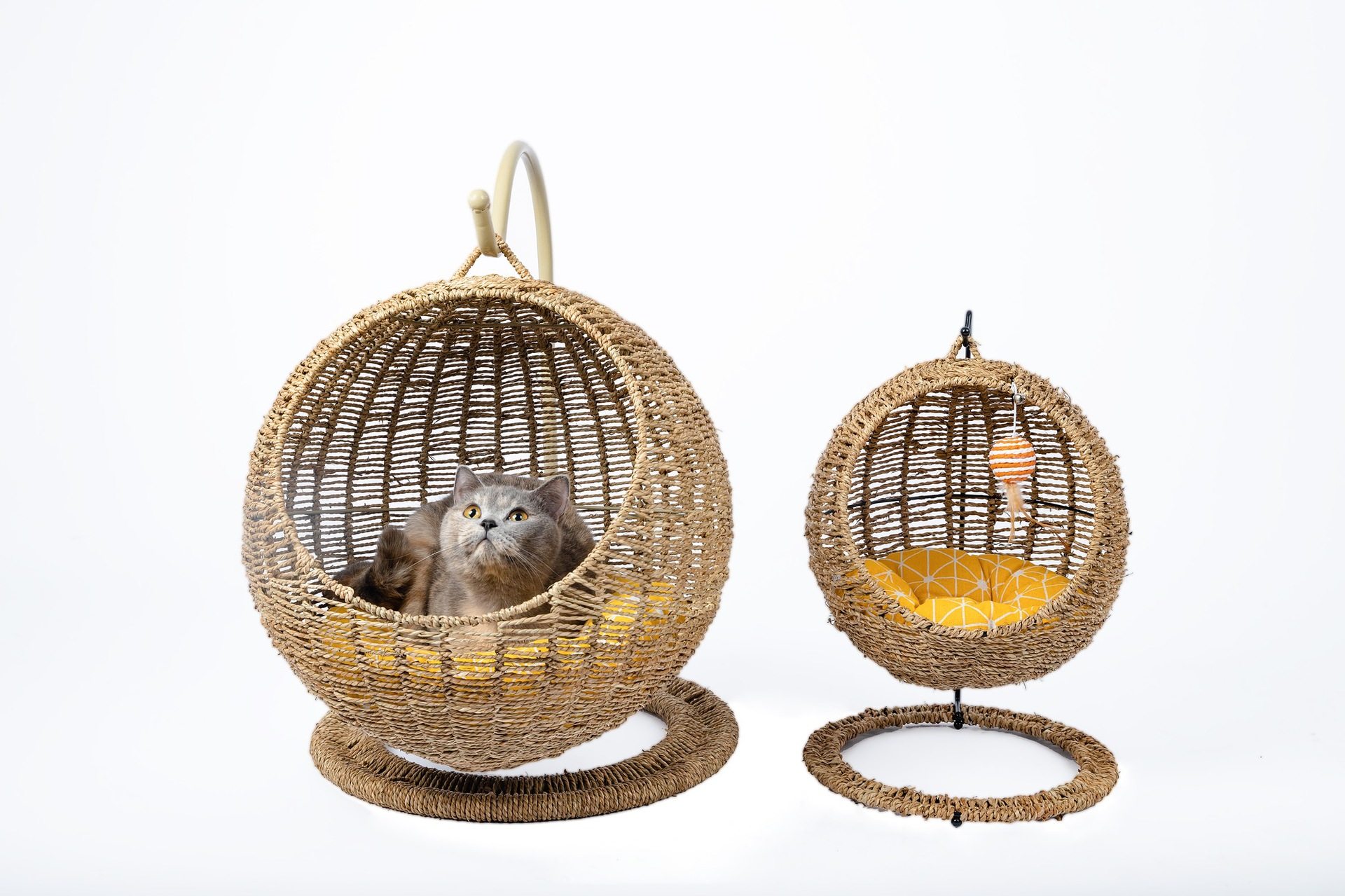 2345_image_file_copy_5