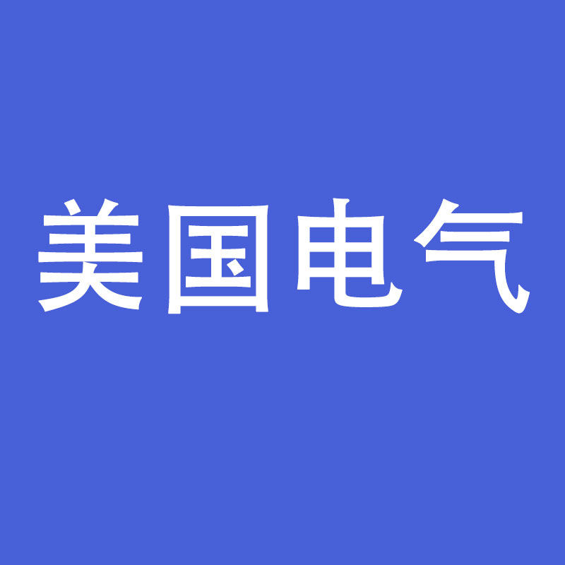 美国电气总店