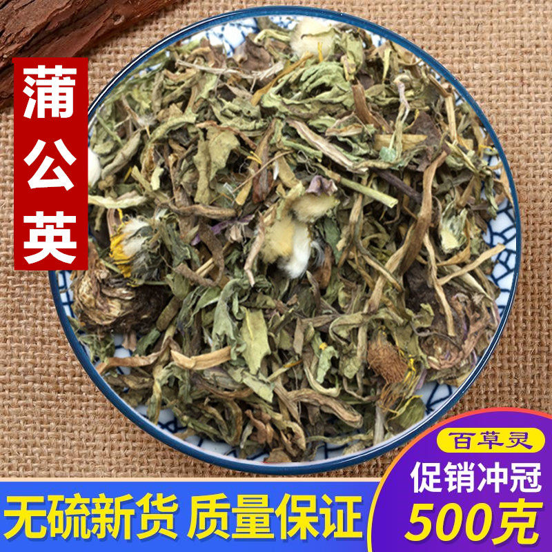 Wild Dandeling Chinese medicine - wood Dang - huang Dingpu Dungying Tea 500g