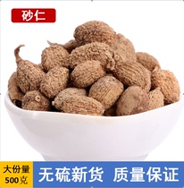 Yang Spring Spring Sand Benevolent Spring Sands Benevolent Wild Spring Sandy Fruit Yang Spring Special Production Chinese Herbal Medicine to Raise Stomach and Steamed Meat