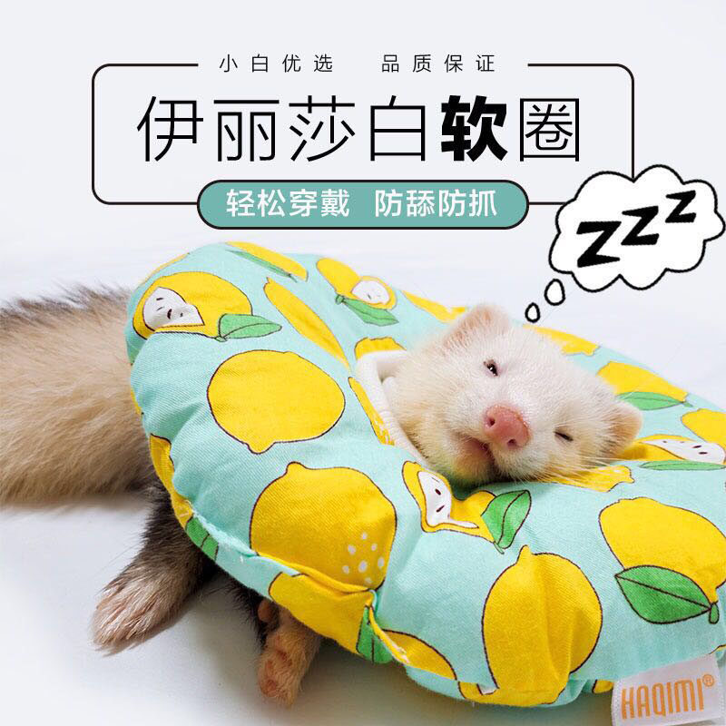 *Elizabeth collar*Pet sable sable sable sable sable head coat anti-licking cute selling decorative items