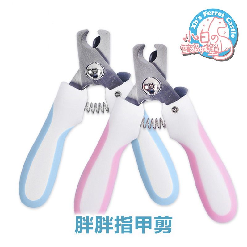 * Fat nail scissors * Pet ferret ferret squirrel squirrel nail scissors for a squirrel
