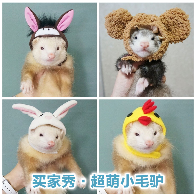 *Super cute little hat*(nervous mink) pet mink clothing accessories ferret Anglo Anglo Macher