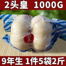 10-year-old 2 head HuangGansu Lanzhou fresh lily edible pure sweet Natural White special product vacuum boutibles