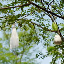 Small fresh foaming net blossoming marshmallow bubble quality stick Hand-made fat cold soap small partners are not only out