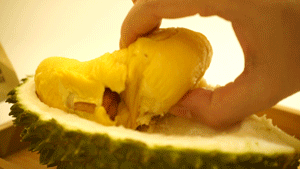 017.gif