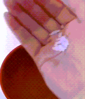 023.gif