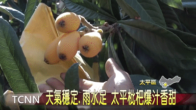 13.gif