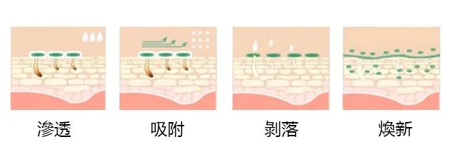 24.png