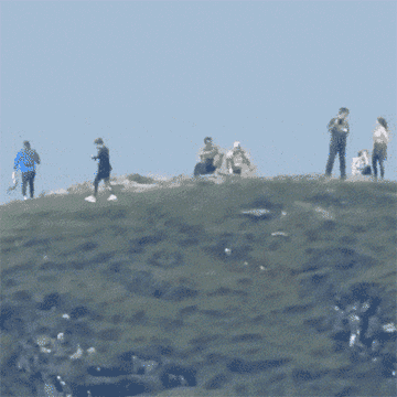 20230602_155153_002.gif