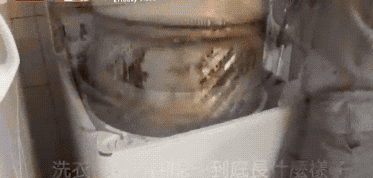 5.gif