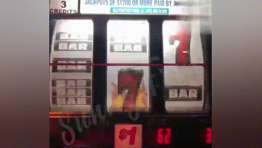 20230926_114256_014 (1).gif