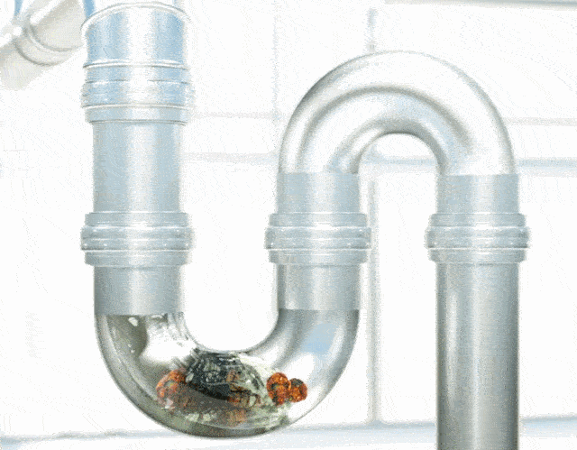 20230214_175304_024.gif