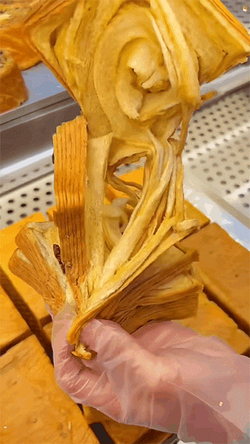 20240227_112844_049.gif