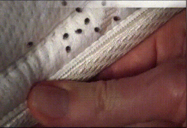 6.gif/
