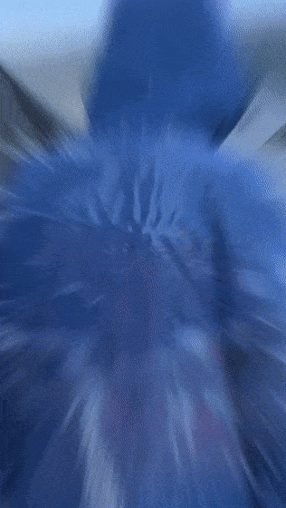 10021.gif