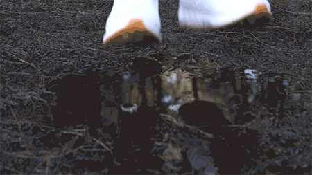 20221224_103501_033.gif
