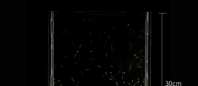 pic_026.gif