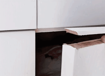 6.gif