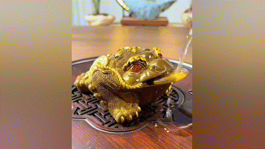 20230926_114256_018 (1).gif