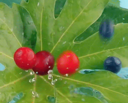 20230309_174307_021.gif