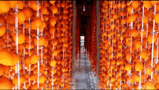 13.gif