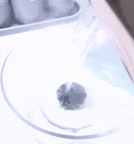 DM_20240302154553_012.gif