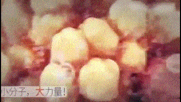 20220718_141956_007.gif
