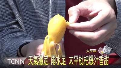 11.gif