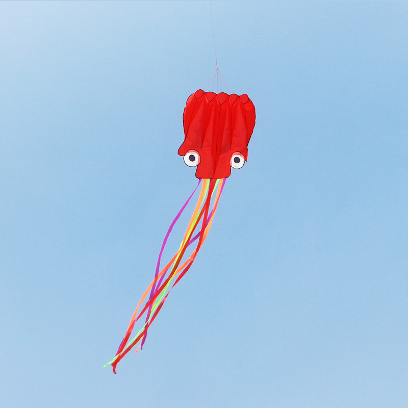 Octopus kite 4 5 5 m software without skeleton octopus octopus octopus dolphins long tail easy to fly new kites direct-Taobao