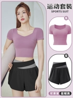 [Короткий набор] фиолетовый фиолетовый+Синьяо Хей