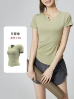 Кардамон Грин