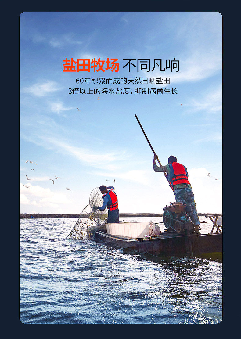 中饭协指定品牌 脊岭岛 新鲜熟冻盐田虾大虾 250g*3盒 双重优惠折后￥108包邮