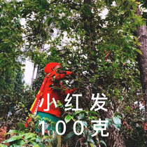 2021 Little red flowers Easy Wutou Spring ancient tree sunburn with red dragon beads 100g