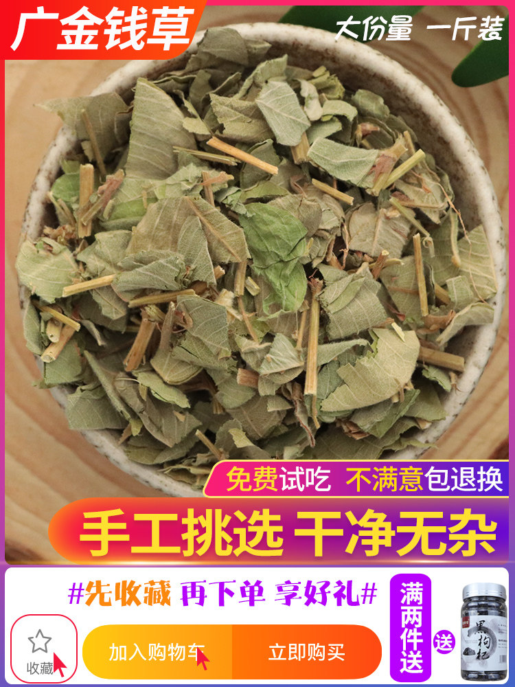 Golden Money Grass Dry Chinese Herbal Medicine Guangxi Large Leaf Gold Money Grass 500g Wild Natural Wide Gold Money Grass Can Be Hitchhiking Corn
