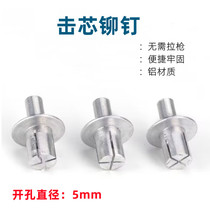 Punch core rivet aluminium cap stainless steel bar Round Head Knock Type Rivets Blooming Fluffy Nail M5