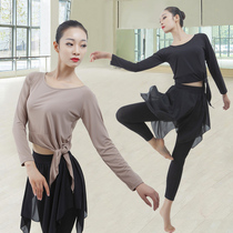 2018 autumn and winter new Latin dance training suit female adult black basic dance practice suit top long sleeve