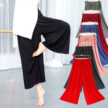 Dance pants Womens loose wide leg pants Classical training Modal practice pants Adult mens modern dance straight pants