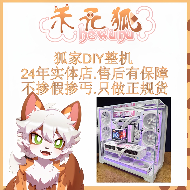 【Fox Family Diy】Diy Gaming Computer, Truly Transparent, Let You See the Profit 【Fox Family Diy】Diy Gaming Computer, Truly Transparent, Let You See the Profit