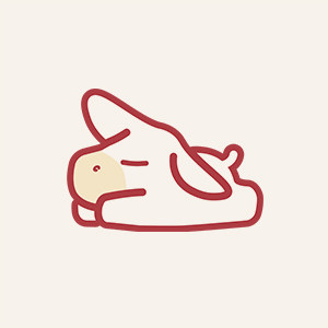 多嘴驴Mule Donkey
