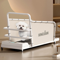 Dog treadmill dog treadmill cat treadmill Bichon Frize Teddy Corgi pet treadmill small and medium-sized dog walking machine