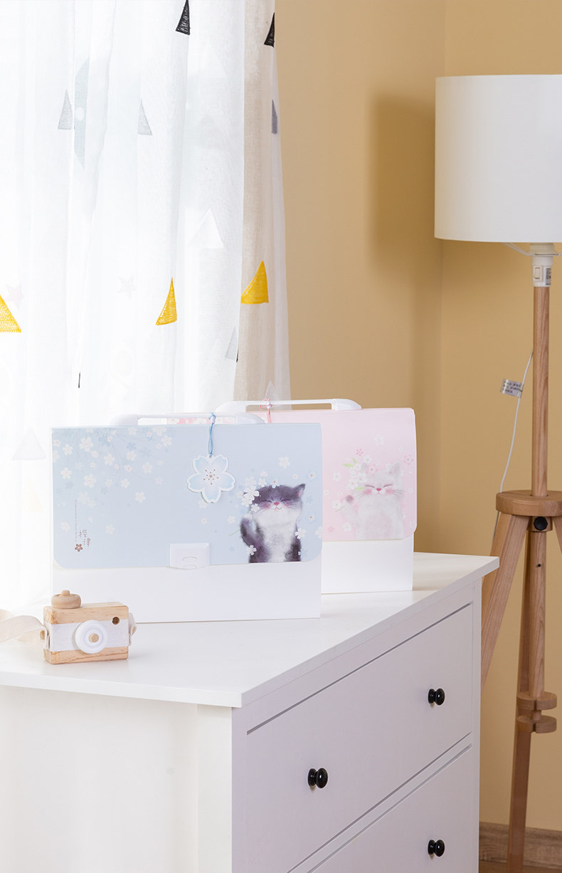 Папка для бумаг 得力a4文件夹风琴包多层可爱学生用透明插页试卷整理神器大容量分类资料文件袋收纳夹试卷收纳资料包初高中生 Deli