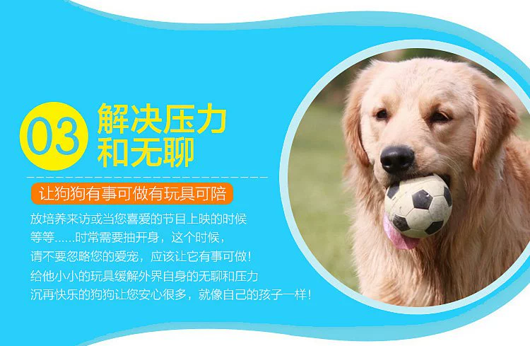 Đồ chơi thú cưng Chó Teddy âm thanh để xoa dịu bóng mol Mèo đồ chơi sang trọng thú cưng cung cấp đồ chơi đào tạo - Mèo / Chó Đồ chơi