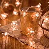Sakura Led Light Lantern Lantern Light Strings, полные звезд Новый год