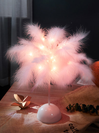 Internet celebrity ins feather decorative lamp creative room lantern bedroom night light layout girl heart birthday gift