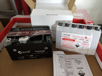 BYJoshuk Womens 100 silver handsome motorcycle battery is free from maintenance of battery storage batteries