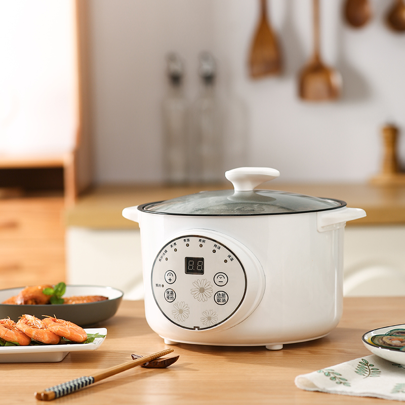 Electric boiler multifunction Home Small hot pot Dormitory Students Cooking Noodle small pot cooking and frying integrated pan quick cooking pan