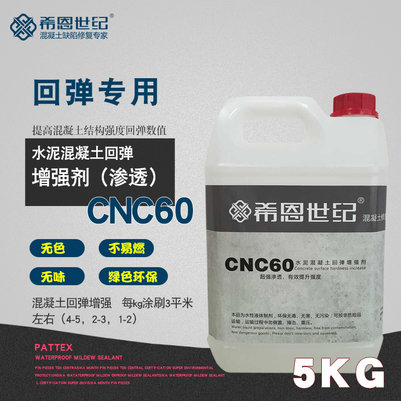 Hyne Century CNC60 Cement Concrete Intensifier Rebound Value Boost Penetration Protectant Conserve