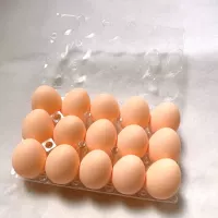 Пятнадцать яиц